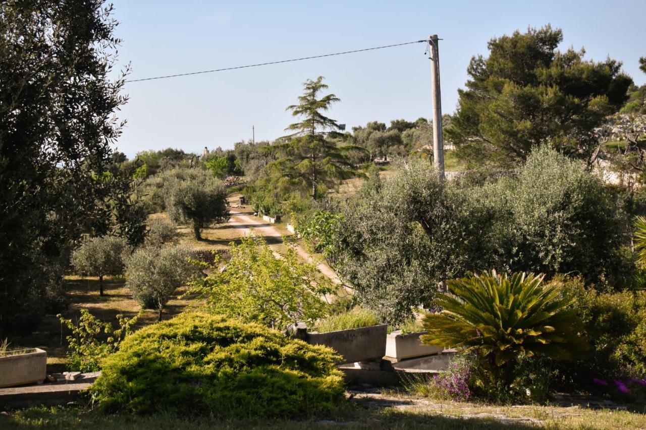 Terre D'Amore - For Couples Hotel Ostuni Luaran gambar