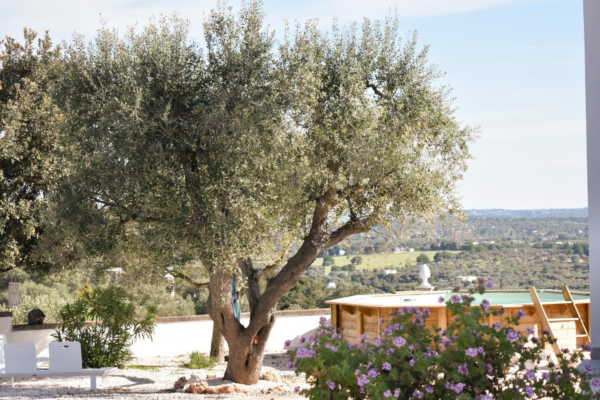 Terre D'Amore - For Couples Hotel Ostuni Luaran gambar
