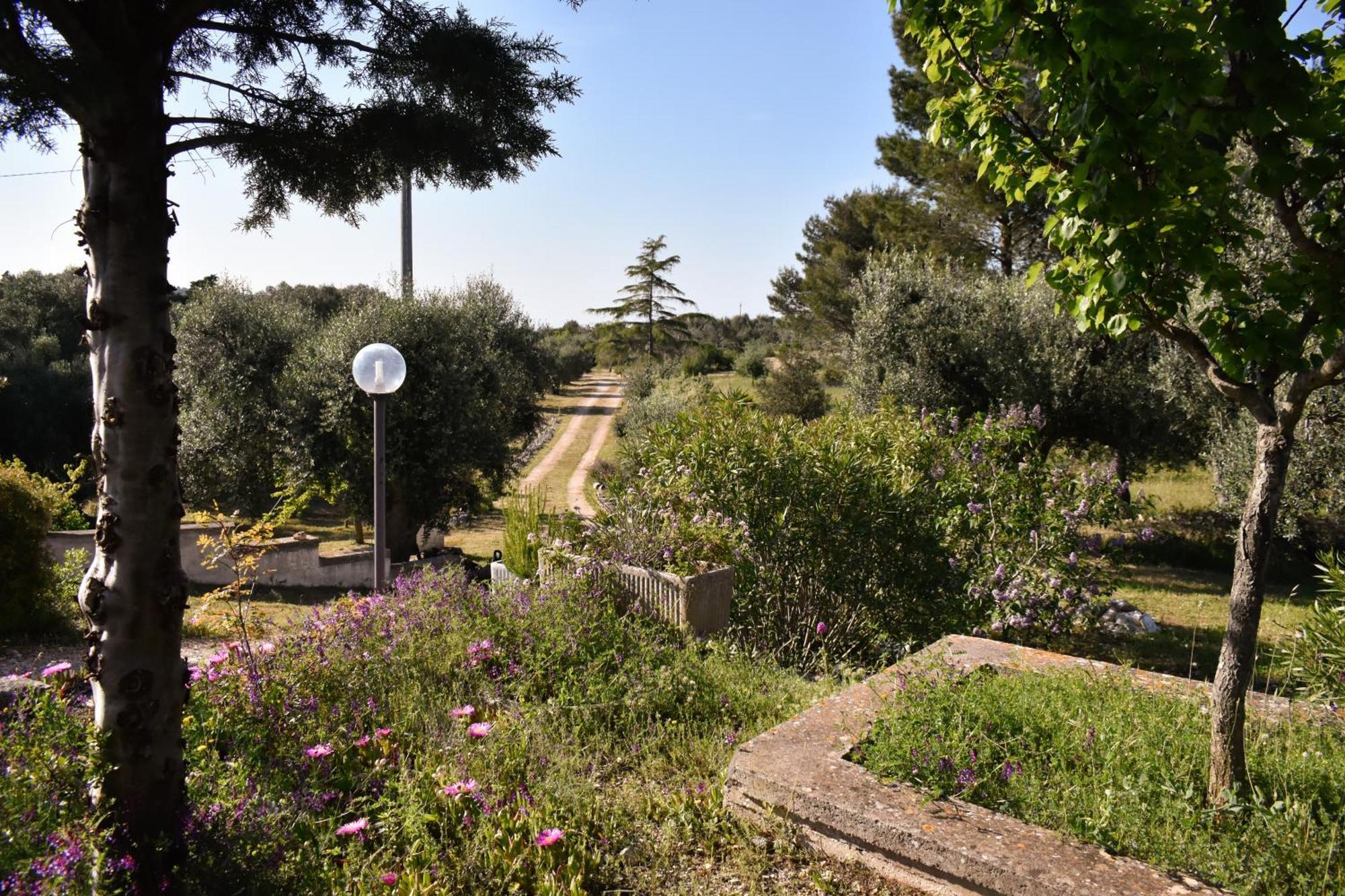 Terre D'Amore - For Couples Hotel Ostuni Luaran gambar